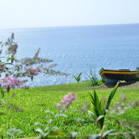 Апартаменти Quinta Golfinho Арку-да-Кальєта Екстер'єр фото